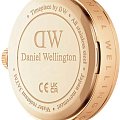 Часы Daniel Wellington Elan Lumine Gold DW00100715 фото 2