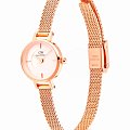 Часы Daniel Wellington Petite Mini Champagne Melrose DW00100743 фото 3