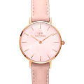 Часы Daniel Wellington Petite Unitone DW00100511