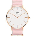 Часы Daniel Wellington Petite Dover DW00100360