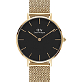 Часы Daniel Wellington Petite Evergold DW00100347