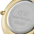 Часы Daniel Wellington Petite Evergold DW00100347 фото 4