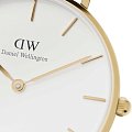 Часы Daniel Wellington Petite Evergold DW00100348 фото 2