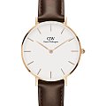 Часы Daniel Wellington Petite Bristol DW00100171