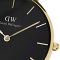 Часы Daniel Wellington Petite Evergold DW00100347 фото 2