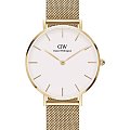 Часы Daniel Wellington Petite Evergold DW00100348