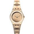 Часы Swatch I Lady YSG169G