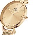 Часы Daniel Wellington Petite Unitone DW00100473 фото 2