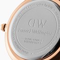 Часы Daniel Wellington Petite Dover DW00100313 фото 4
