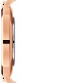 Часы Daniel Wellington Petite Ashfield DW00100307 фото 3