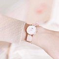 Часы Daniel Wellington Classic Rosewater DW00100316 фото 2