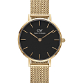 Часы Daniel Wellington Petite Evergold DW00100349