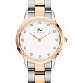 Часы Daniel Wellington Iconic Link Lumine DW00100358