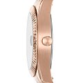 Часы Fossil FB-01  ES4898 фото 3