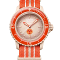 Часы Swatch x Blancpain Arctic Ocean SO35N100