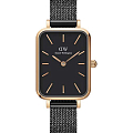 Часы Daniel Wellington Quadro Ashfield DW00100433