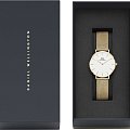 Часы Daniel Wellington Petite Evergold DW00100348 фото 5