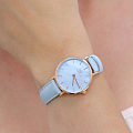Часы Daniel Wellington Petite Sheffield DW00100635 фото 5
