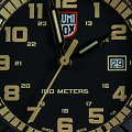 Часы Luminox Leatherback Sea Turtle XS.0333 фото 3