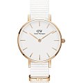 Часы Daniel Wellington Petite Dover DW00100313