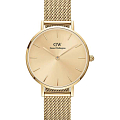 Часы Daniel Wellington Petite Unitone DW00100473