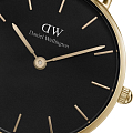 Часы Daniel Wellington Petite Evergold DW00100349 фото 2