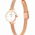 Часы Daniel Wellington Petite Mini Champagne Melrose DW00100744 фото 3