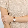 Часы Daniel Wellington Classic St Mawes DW00100067 фото 2