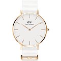 Часы Daniel Wellington Petite Dover DW00100311