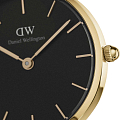 Часы Daniel Wellington Petite Evergold DW00100349 фото 3