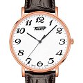 Часы Tissot Everytime Large T109.610.36.012.01