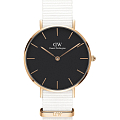 Часы Daniel Wellington Petite Dover DW00100312